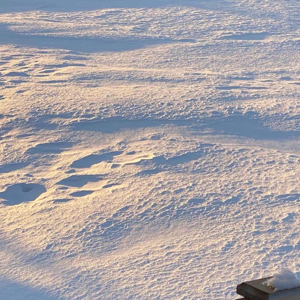 Meet your Posher, Chloé